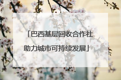 巴西基层回收合作社助力城市可持续发展